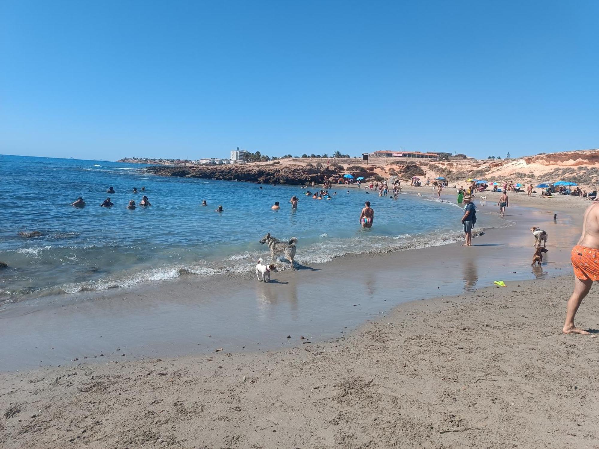 La Campana Lägenhet Dehesa de Campoamor  Exteriör bild